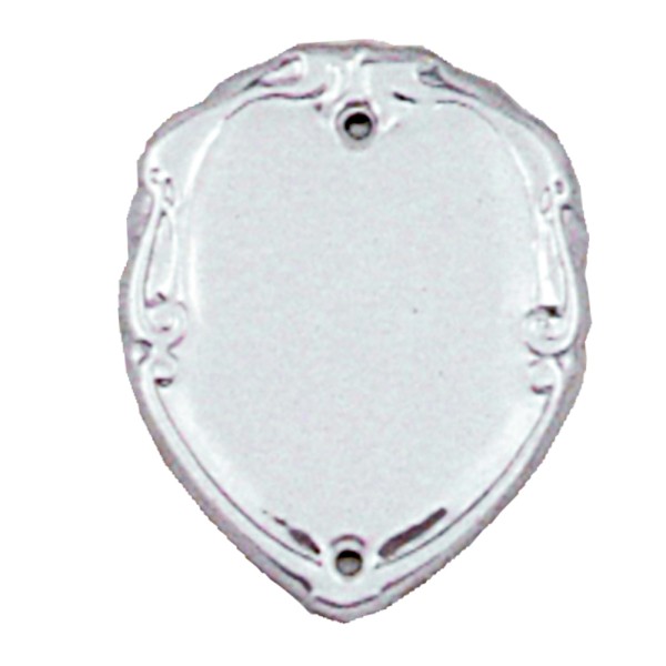 S167 38mm Chrome Steel Shield 